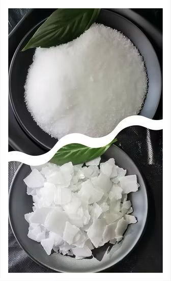 Caustic Soda (Sodium Hydroxide)